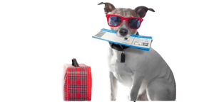 alojamiento de mascotas logo