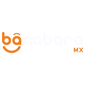 barabara logo