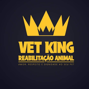 Vet King logo