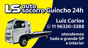 LS GUINCHO logo