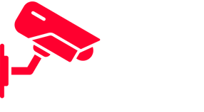 DOM SERVIS logo