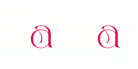 Nabhay logo