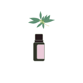 Posts Diários doTERRA logo