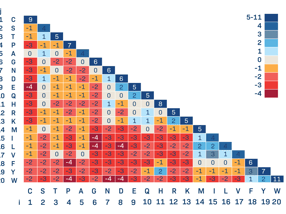 BLOSUM62 Amino Acid Scoring Matrix