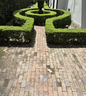 Before and After picture of a Backyard