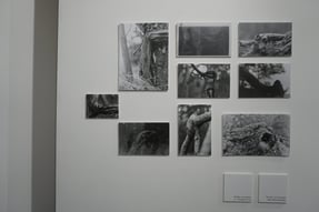 Analoginės fotografijos ciklas baubai 