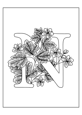 coloriage lettre N
