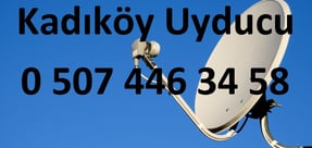 kadıköy uyducu çanak anten ayarı televizyon servisi