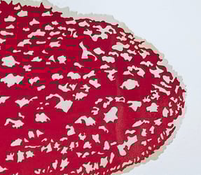 Close up of the red speckled mushroom cap on a handmade original silk screen art print of an amanita fungus 
