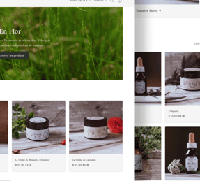 a website page design