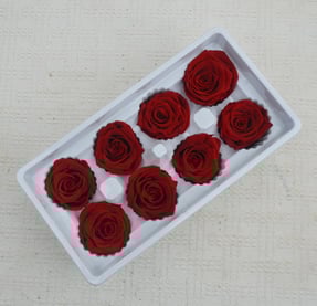 Preserved Flower