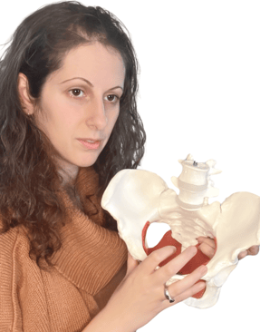 educating client on their pelvic health using a model pelvis