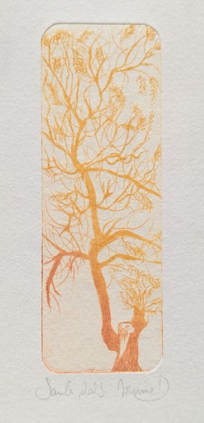 Saule Tetrapak gravure