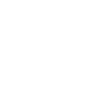 Whales-marketing logo