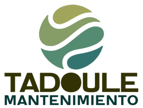 TADOULE MANTENIMIENTO logo