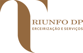 Triunfo DP - Terceirização e Serviços logo
