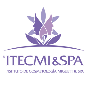 Itecmi Spa logo
