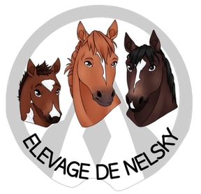 Elevage de Nelsky logo