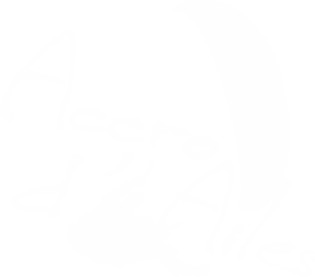 Accro d'Ailes - Club de parapente en Ardèche logo