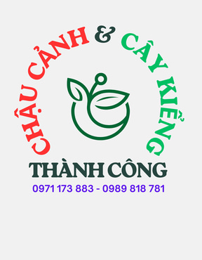 chậu cảnh, cây cảnh, vườn logo