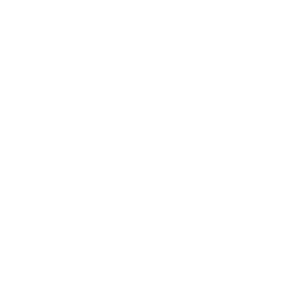 Vessla project logo