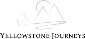 Yellowstone Journeys