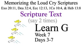 Learn G (Days 3-7)