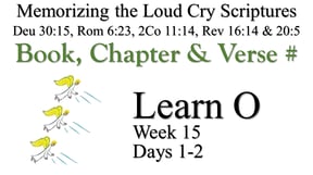 Learn O (Days 1-2)