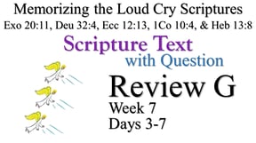 Review G (Days 3-7) with Q