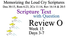Review O (Days 3-7) with Q