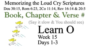 Learn O (Days 1-3)