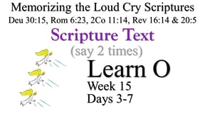 2x Learn O (Days 3-7)