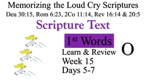 1st Words Learn & Review O (Days 5-7)