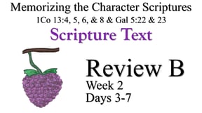 Review A (Days 3-7)