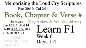 Learn F1 (Days 1-4)