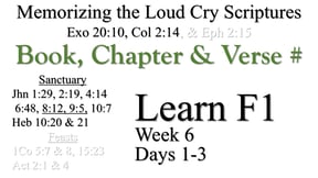 Learn F1 (Days 1-3)
