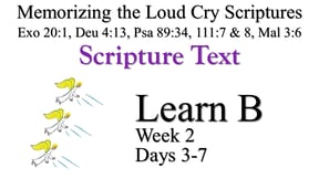 Learn B (Days 3-7)