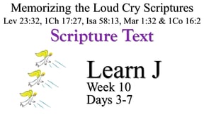 Learn J (Days 3-7)