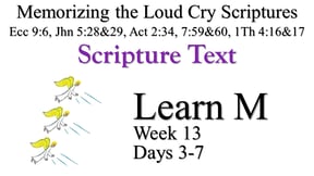 Learn M (Days 3-7)