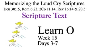 Learn O (Days 3-7)
