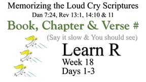Learn R (Days 1-3)