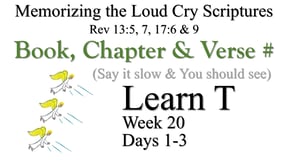 Learn T (Days 1-3)