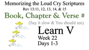 Learn V (Days 1-3)