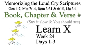 Learn X (Days 1-3)