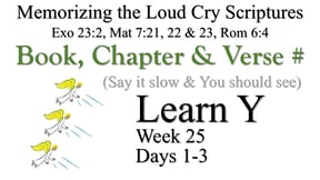 Learn Y (Days 1-3)
