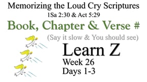 Learn Z (Days 1-3)