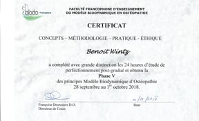 Ostéopathie Biodynamique 5 ostéopathe Toulon