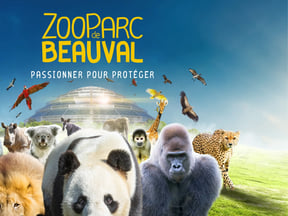 zoo de beauval