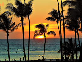 a sunset on a beach with palm trees in Hawaii