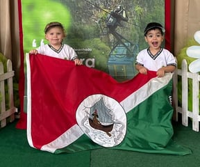 Bandeira de Ubajara